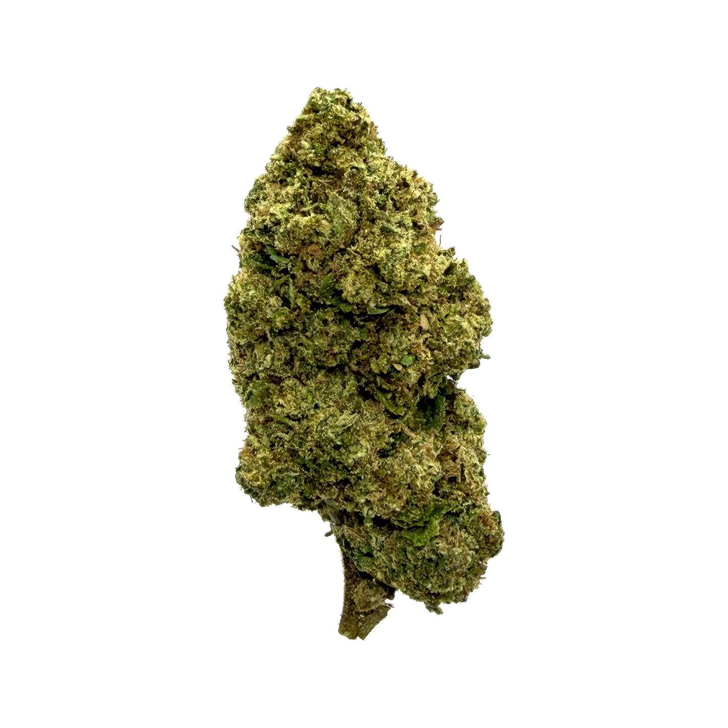 CANDY KUSH - Fleurs CBD - Indoor