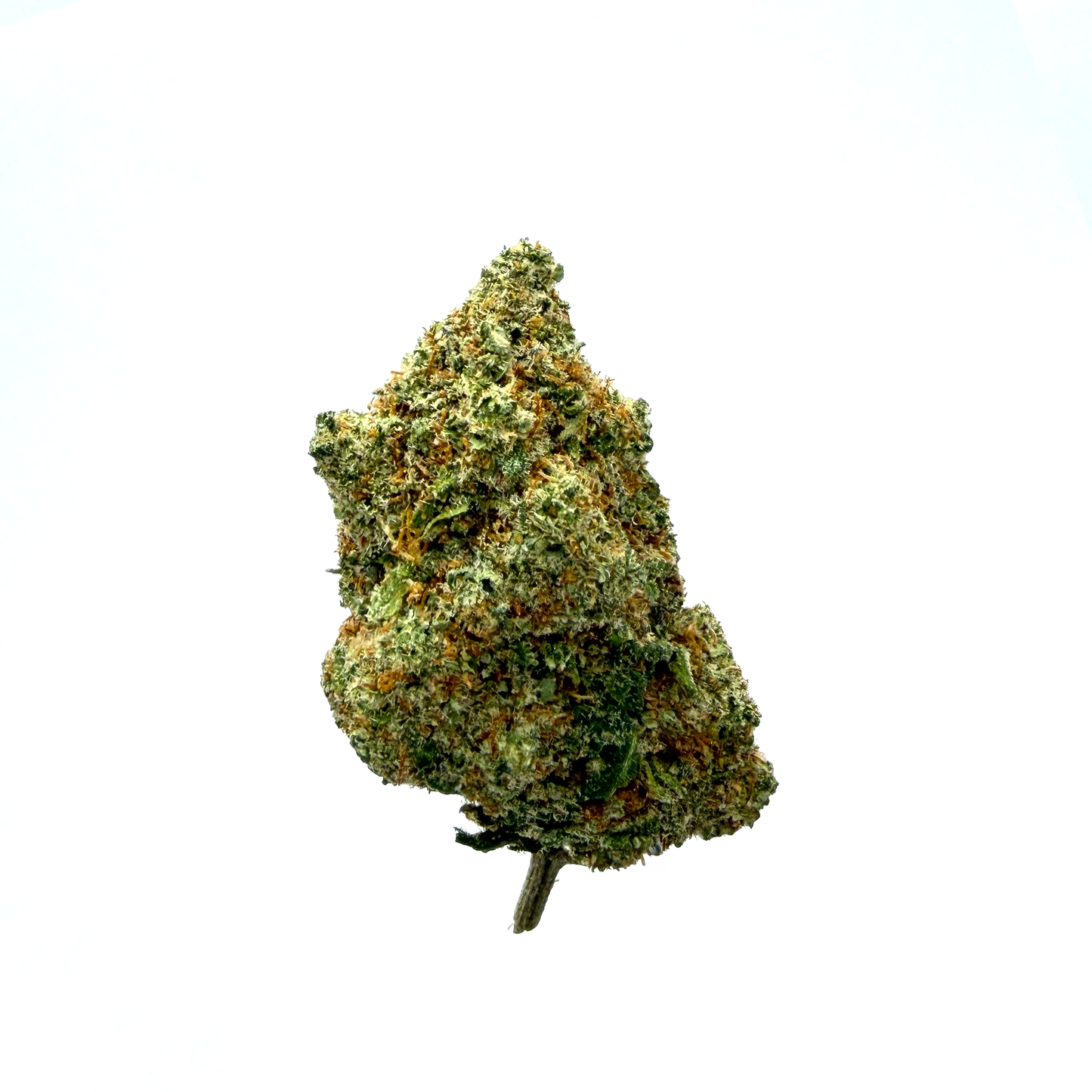 FORBIDDEN FRUIT - Fleurs CBD - Indoor