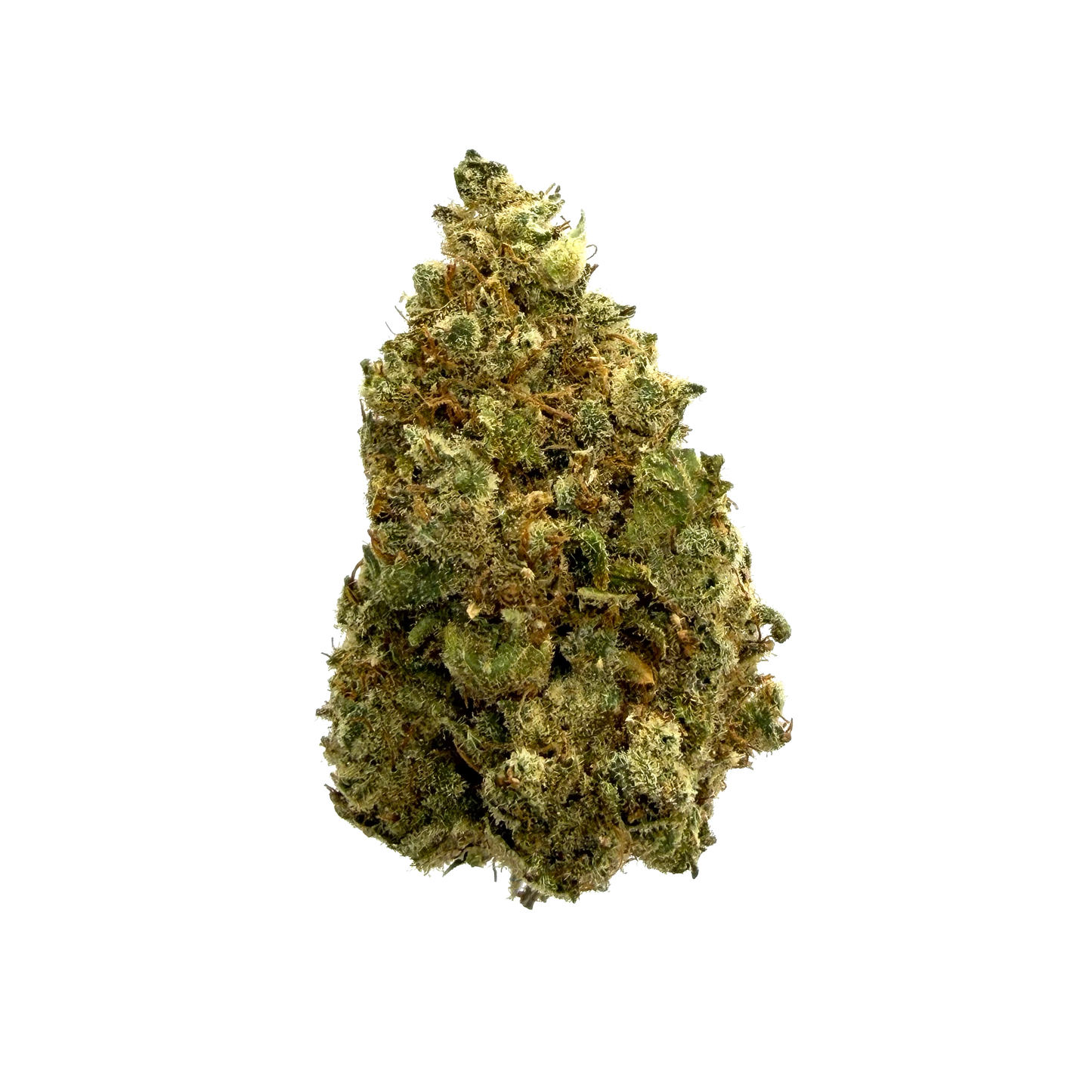 GUSHERS - Fleurs CBD - Indoor