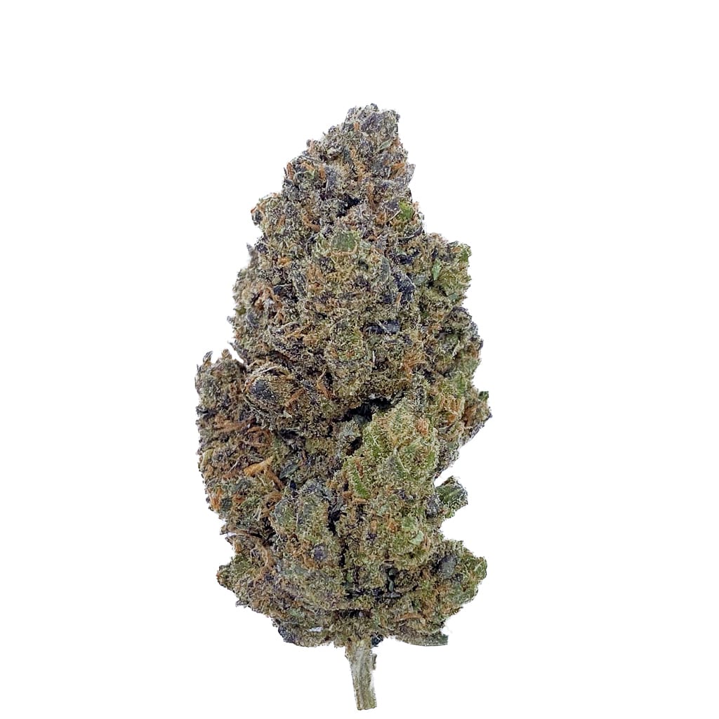 Lady Pink - Fleurs CBD - Indoor