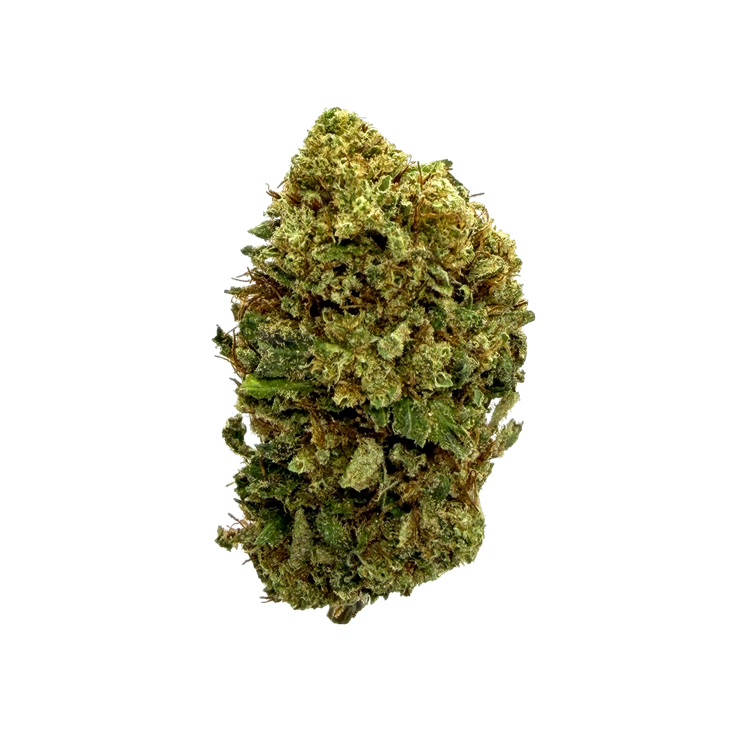 LEMONADE - Fleurs CBD - Indoor