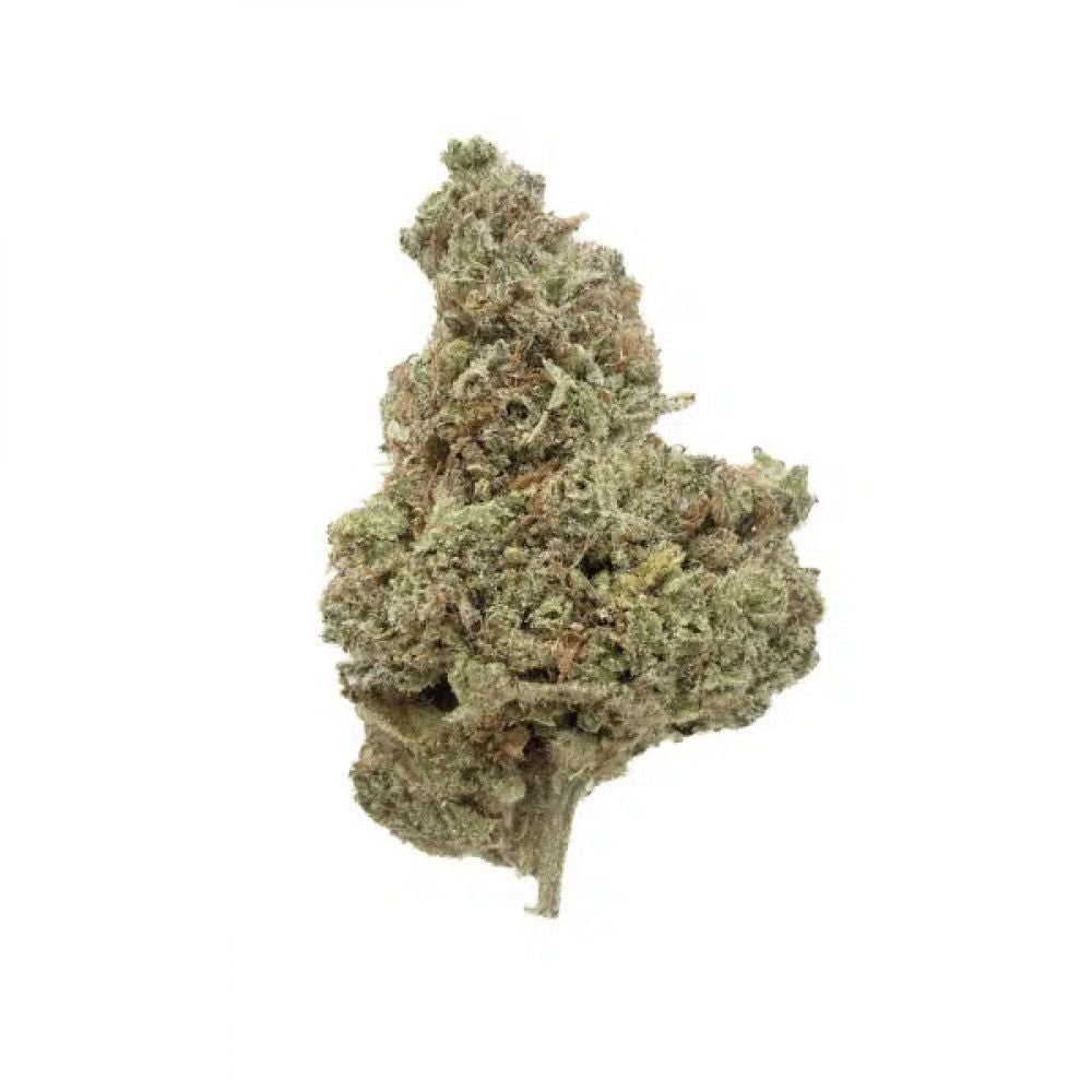 Bubble Gum HYDRO - Fleurs CBD - Indoor