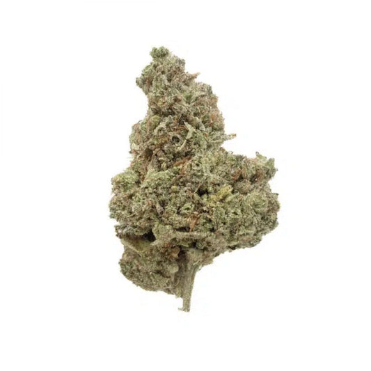 Bubble Gum HYDRO - Fleurs CBD - Indoor