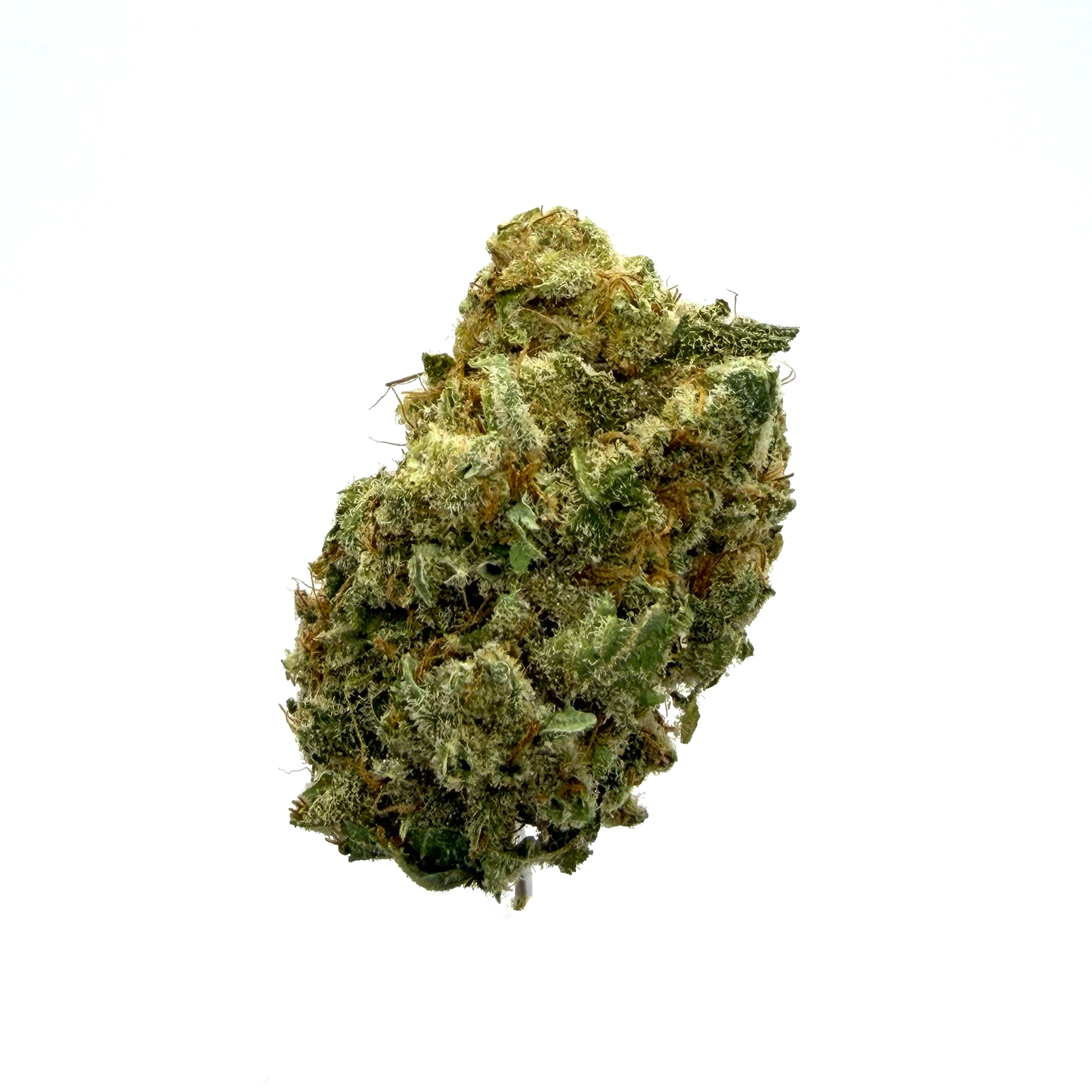 Charlotte’s Angel - Fleurs CBD - Indoor