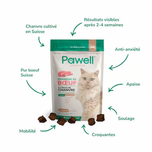 Friandises CBD boeuf chats - Pawell