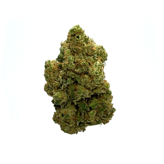 MOBY DICK - Fleurs CBD - Indoor